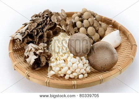 Assorted Of Mushrooms