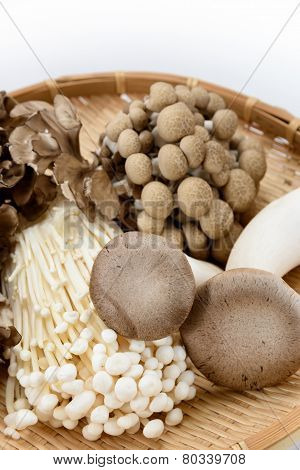 Assorted Of Mushrooms