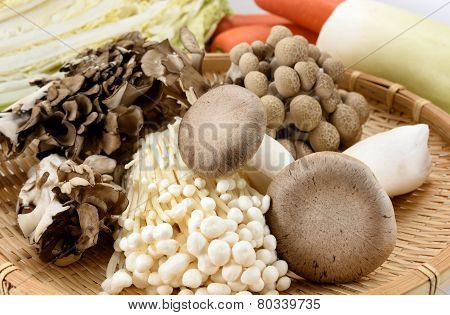 Assorted Of Mushrooms