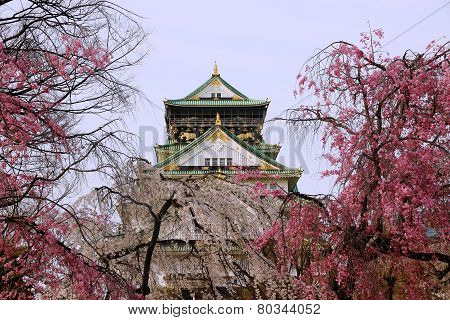 Castle