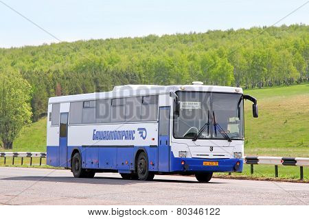 Nefaz 5299