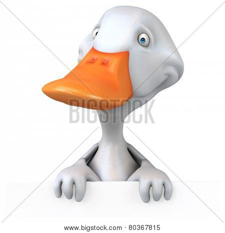 White duck 