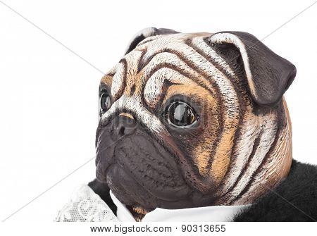 Toy pug dog in butler costume isolated on white background