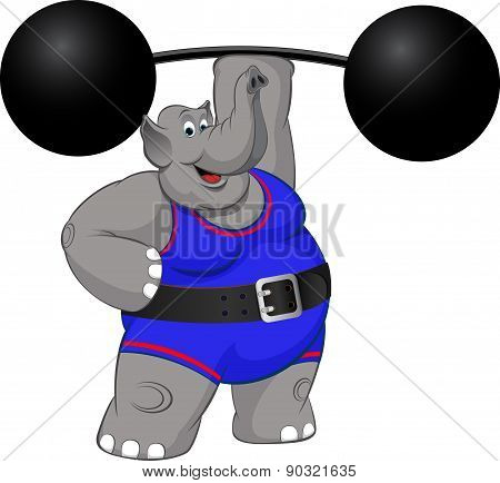elephant strongman