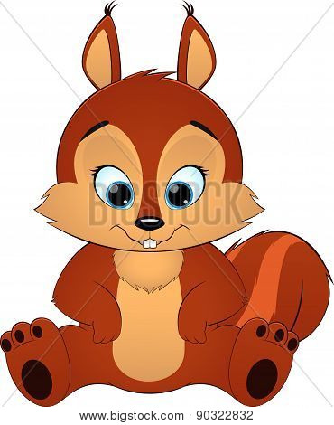 Cute squirrel on white background
