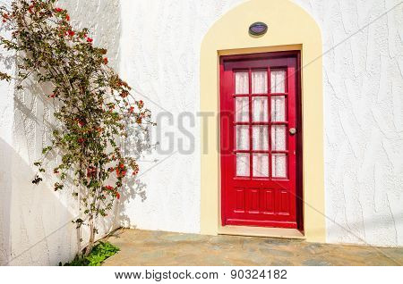 Wooden red doors and bush over white wall.