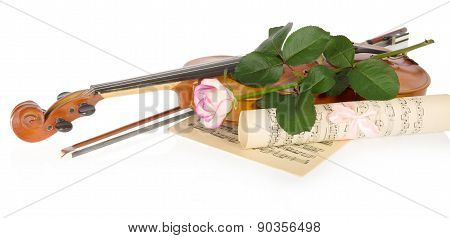 Violin and rose