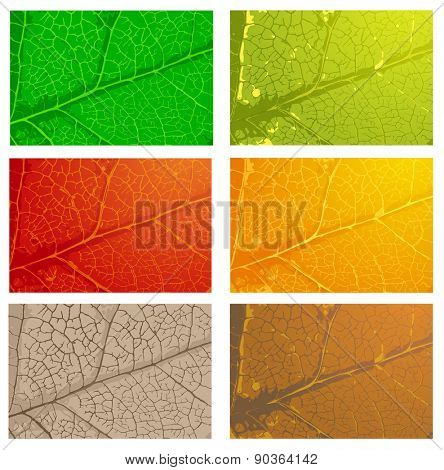 Set of leaves in different colors.