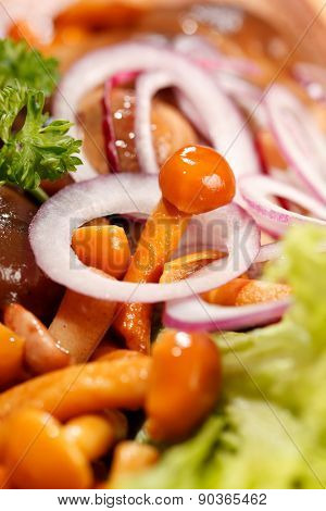 tasty appetizer