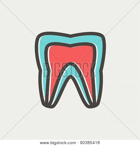 Molar tooth icon thin line for web and mobile, modern minimalistic flat design. Vector icon with dark grey outline and offset colour on light grey background.