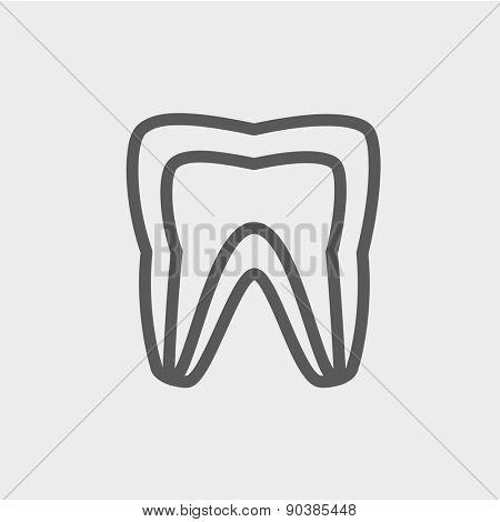 Molar tooth icon thin line for web and mobile, modern minimalistic flat design. Vector dark grey icon on light grey background.
