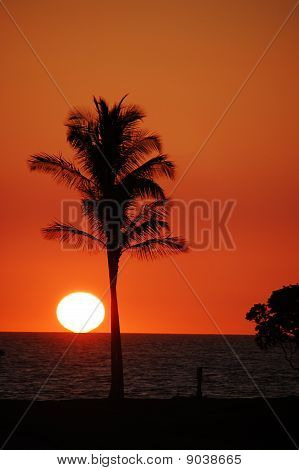 Hawaiin naplemente