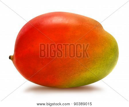 Juicy ripe mango isolated