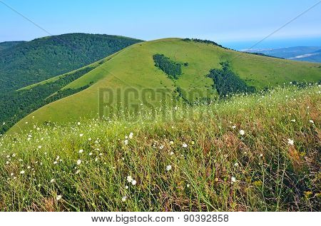 Summer Landscape Of Caucasus Mountains