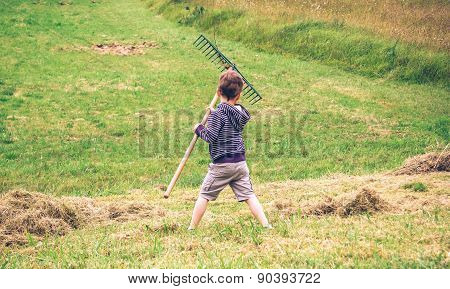 Boy raking dry hay with rake on field