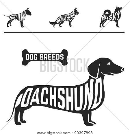 Isolated dog breed silhouettes set with names of breeds inside on white baclground.