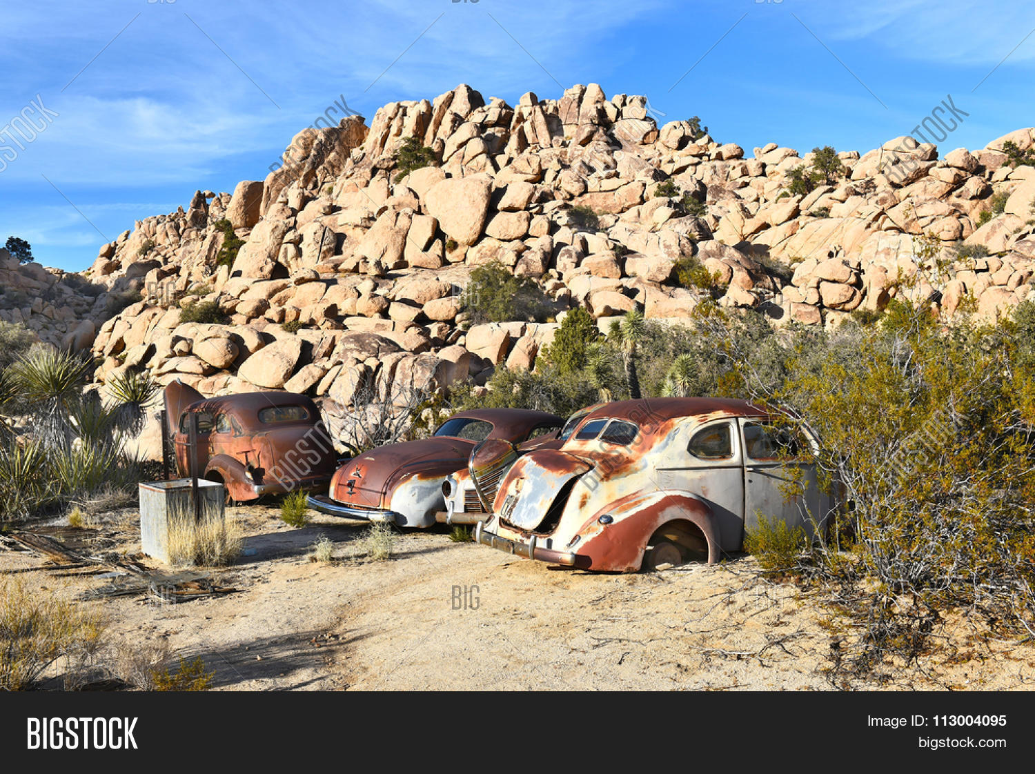 JOSHUA TREE, Image & Photo (Free Trial) Bigstock