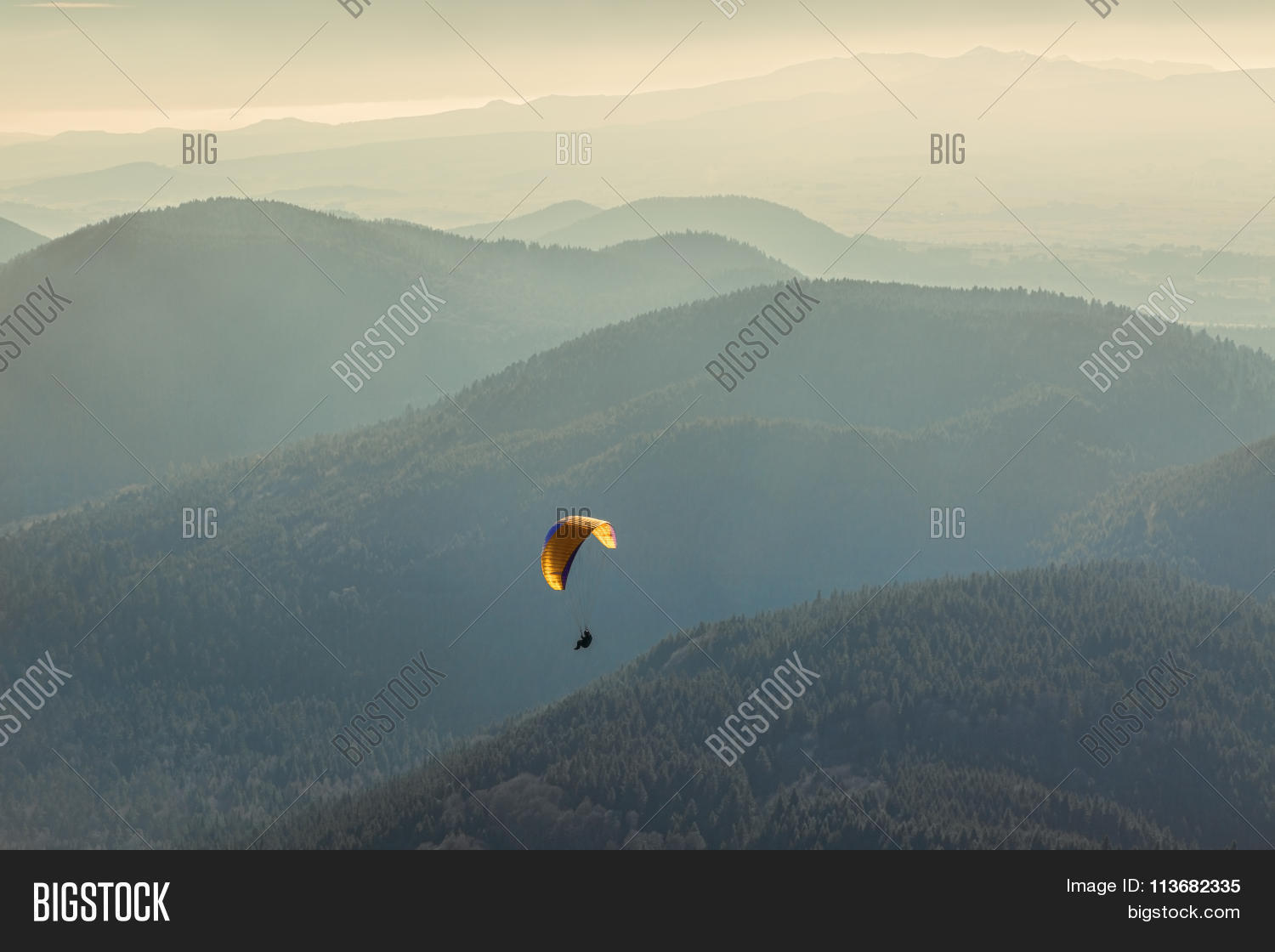 Image Preview