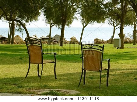 The chairs.
