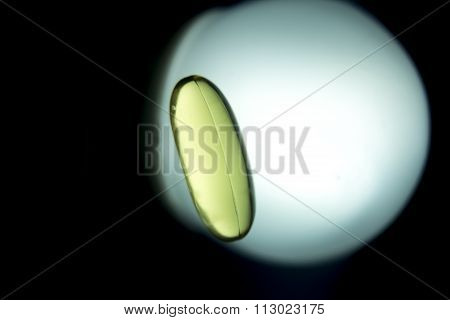 Cod Liver Fish Oil Omega 3 6 9 Capsule