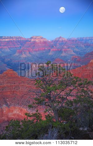 Grand Canyon At Night