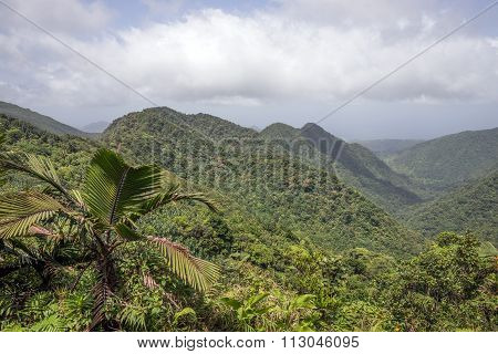 Mountains on Caribbean island of Dominica