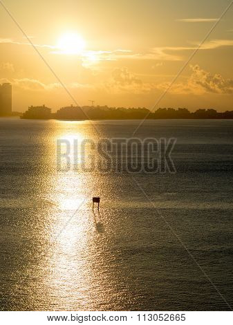 The beautiful sunrise in Brickell key, Miami
** Note: Visible grain at 100%, best at smaller sizes