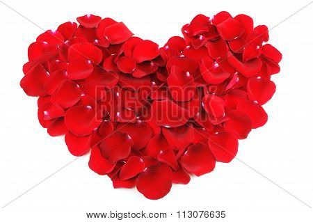 red heart shape by red rose petals