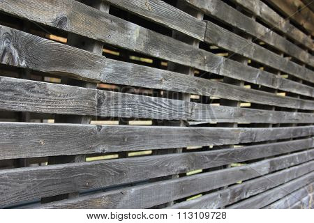 Wall of chicken coop