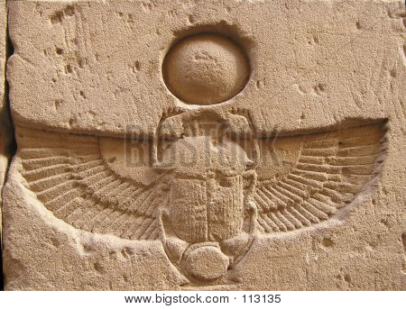 Winged Scarab Beetle