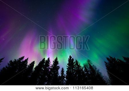 Northern lights