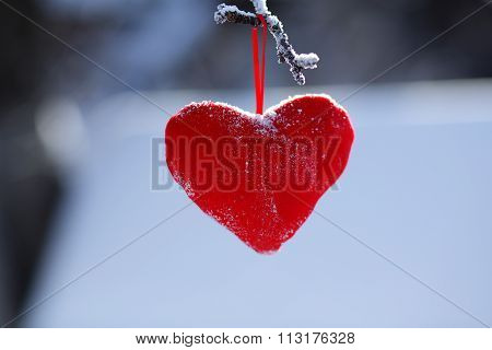 Heart Shape Hanging On A Tree Branch