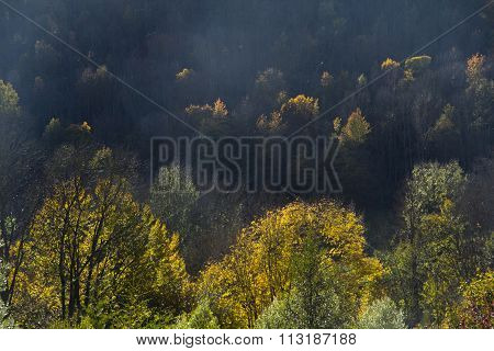 Autum In Setcases Pyrenees, ,girona