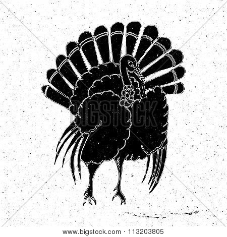 Turkey hand drawn