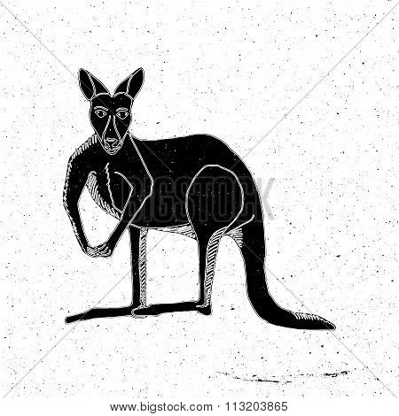 Hand drawn kangaroo