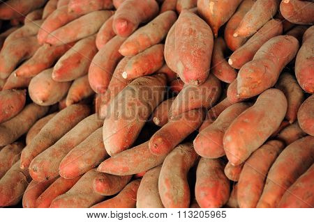 piles of sweet potatoes