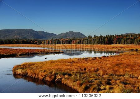 winding river, autumn forest and mountain