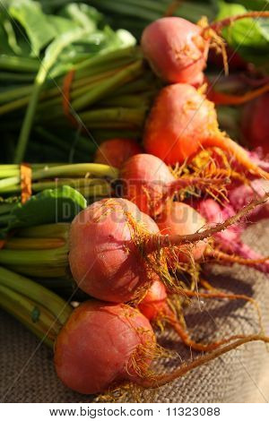 รวมข้อมูลสดของพืชบีทถูกทำ