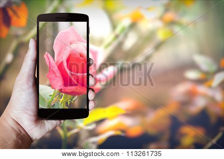 Modern Mobile Phone In The Hand.