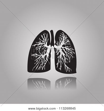 Human lungs illustration with bronchial tree