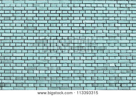 Limpet Shell Blue Brick Wall Background