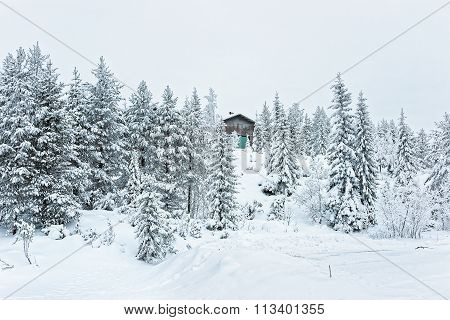 Wooden Cottage In The Snow Covered Forest In Ruka In Finland In The Arctic Pole Circle