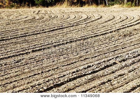 Campo vuoto autunno