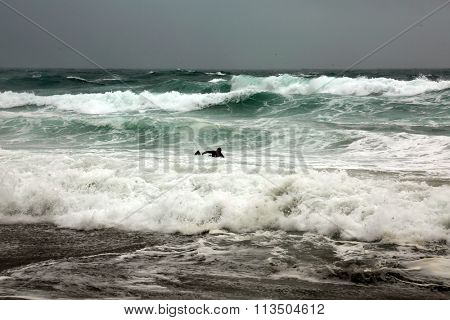 Laguna Beach CA: 1-6-2016, Surfers swim out to Surf the Higher than usual waves in Laguna Beach as the El Nino Storm of 2016 makes landfall and causes flooding and damage around southern California.