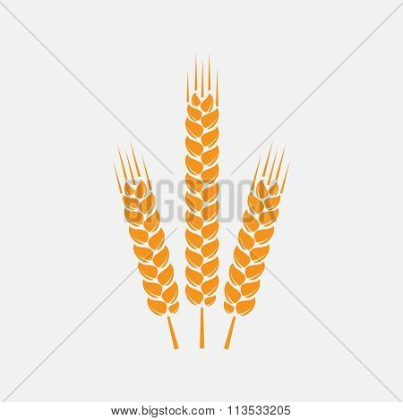 Ears Of Wheat