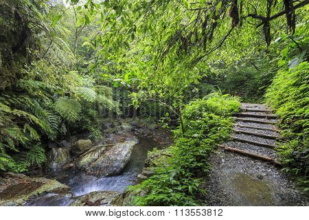 Nature Scenic Of Linmei Shihpan Trail