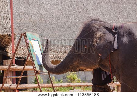 Elephant Show In Thailand.