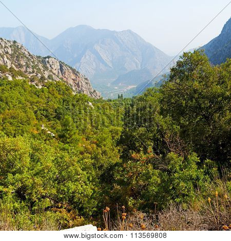 Anatolia Heritage Ruins   From The Hill In Asia Turkey Termessos Old Architecture And Nature
