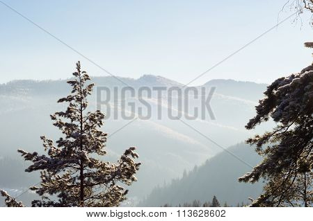 sunny winter mountain landscape
