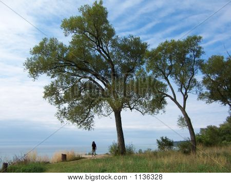 Uno sotto gli alberi 